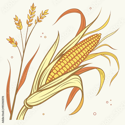 Partially shucked yellow corn cob with husk and golden wheat stalks on cream background