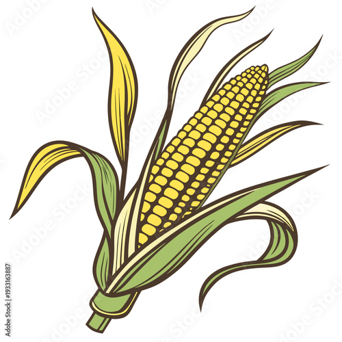 Single yellow corn cob with green leaves and brown outlines