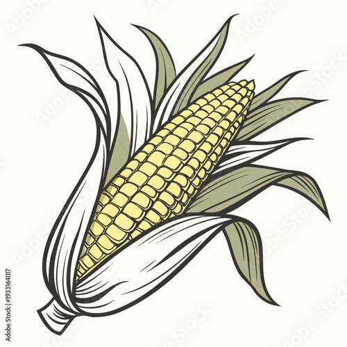 Ripe yellow corn cob with partially removed husk and leaves
