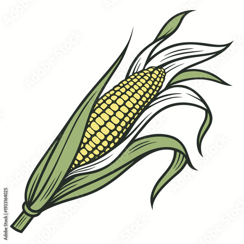 Single yellow maize ear with green leaves and white silk corn