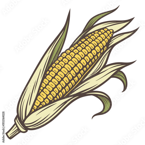 Single corn cob with partially removed husk and warm colors
