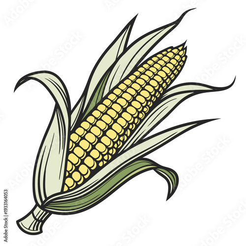 Single yellow maize ear with partially removed green leaves
