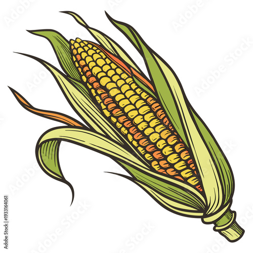 Single corn cob with green leaves and yellow kernels