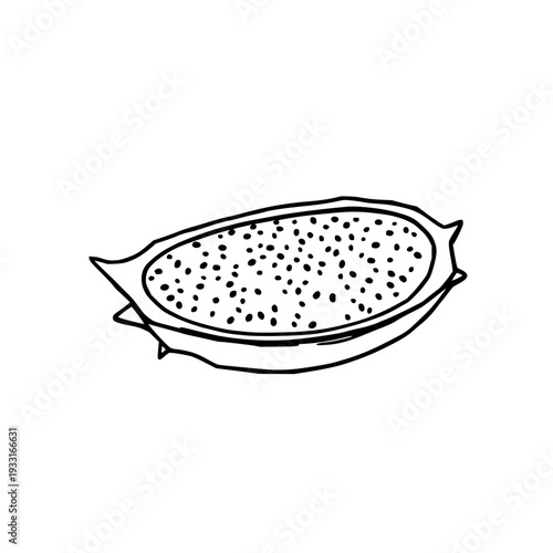 Graphic vector design of a sliced dragon fruit showing seeds, detailed black line art on clean white background for exotic fruit illustration