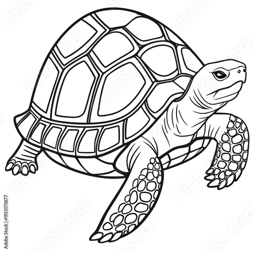 Simple black and white illustration of a turtle with detailed shell and flippers in a coloring book style