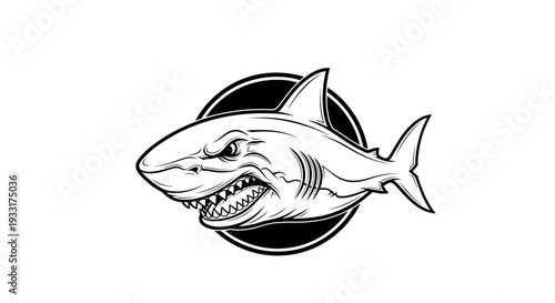 Aggressive shark graphic illustration on isolated white background design