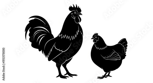 Rooster and Hen Silhouette Illustration.