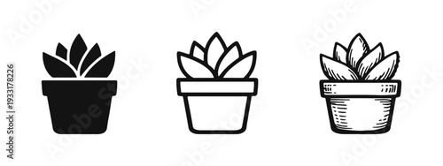 Potted succulent plant icons with pointed leaves. Set of silhouette, outline, and hand-drawn houseplant symbols.
