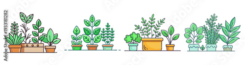 Indoor herb garden plants collection in terracotta pots flat design vector illustration