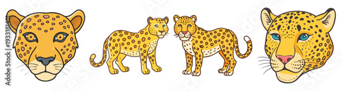 Leopard family set playful cartoon wild animals vector illustration flat design icon pack