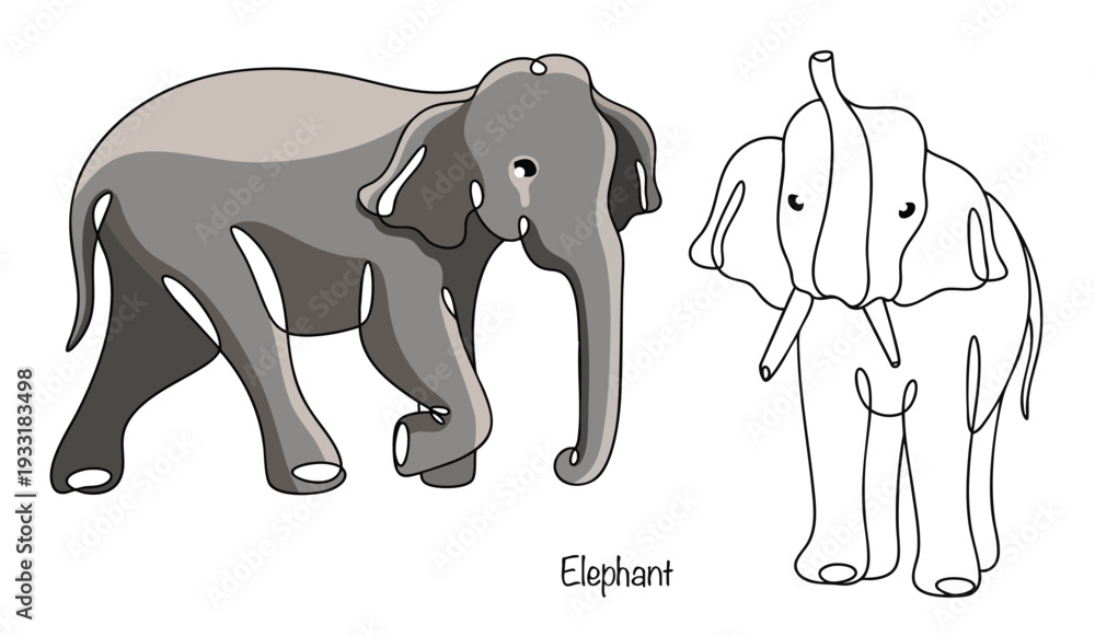 Obraz premium Elephant