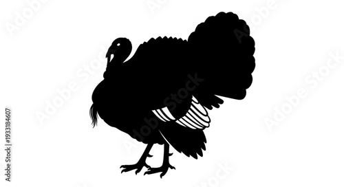 Silhouette of a Turkey Bird.
