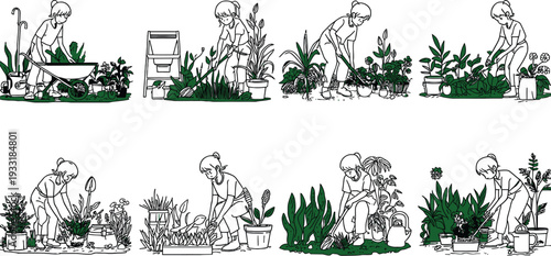 An illustration of a person gardening in various stages, from planting to nurturing and growth.