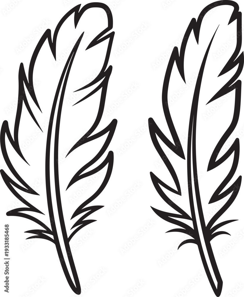 Obraz premium Silhouette of two delicate feathers, abstract design