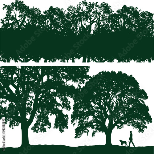 Two large mature green trees with a person walking a dog under them and a forest line above