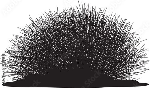 A single dark black silhouette of a shaggy fluffy bush or shrub isolated on a clean white background