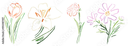 Sketch wax crayon style scrapbook simple flower art collection. Ink, charcoal, pencil or chalk style plants or floral elements drawing. Colorful hand drawn vector illustrations set for invitation.