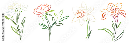 Charcoal or chalk minimalistic flowers, modern creative set. Trendy floral line art in wax crayon naive style. Simple sketch spring romantic plants. Colored pencil drawn vector illustrations isolated.