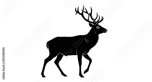 Silhouette of Deer with Antlers.