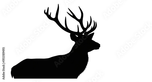 Silhouette of Deer with Antlers.