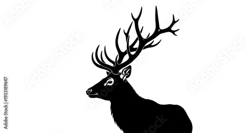 Silhouette of Deer with Antlers.