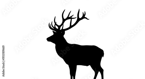 Silhouette of Deer with Antlers.
