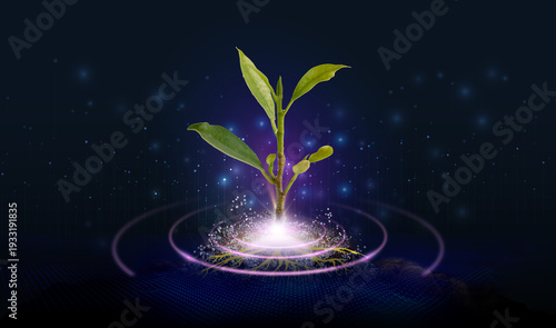 Young seedling on growing soil pile with environment. Concept of ecology and environmental conservation. Hologram bio blue background