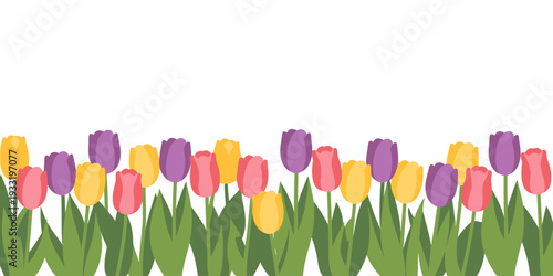 Colorful tulips on green stems