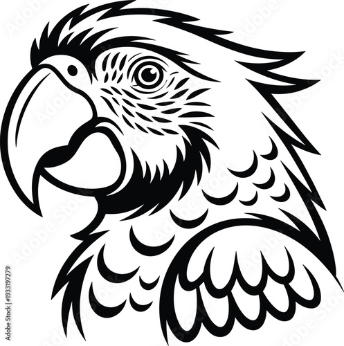 Black and white parrot with detailed feathers and beak bird