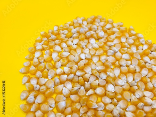 Big portion of raw corn against a beautiful background
