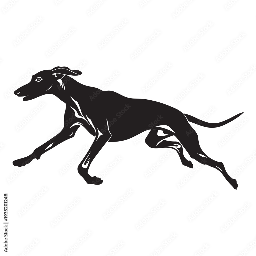 Fototapeta premium Running greyhound dog in dynamic motion vector illustration flat design