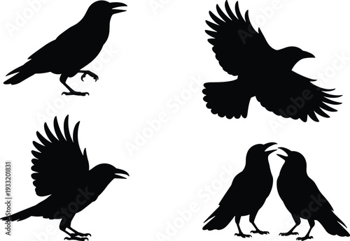 Black crow silhouettes collection isolated on white background, flying and standing raven bird vector set for logo, tattoo, Halloween design