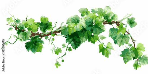 A vibrant and lush grapevine with green leaves and grapes growing on a branch