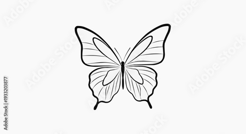 A minimalist black and white butterfly illustration with delicate wings
