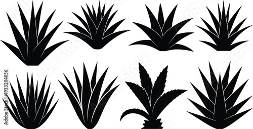 Black agave and aloe vera silhouettes set isolated on white background, botanical vector collection of desert succulent plants for logo design and branding