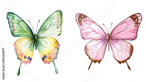 Colorful butterflies in watercolor style with various shades on a white background showcasing different types and designs