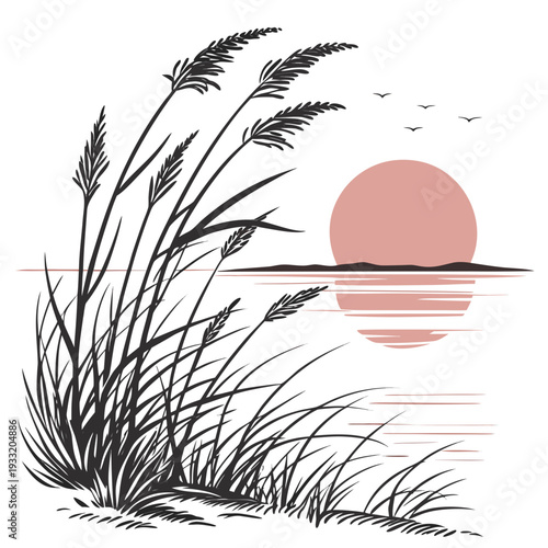 Serene landscape with reeds at sunrise sunset water