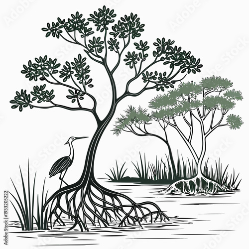 Heron bird standing by mangrove tree with exposed roots in wetland