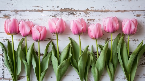 Pink Tulips Arranged in a Row on a Wooden Surface in Bright Light During the ...
