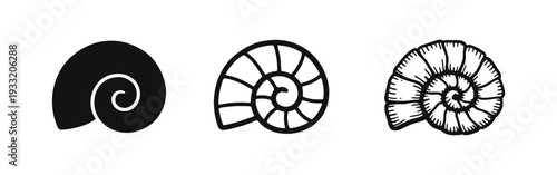 Spiral Seashell Icons Collection - Ammonite and Snail Shell Vector Art in Multiple Styles