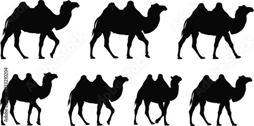 Camel Silhouette Set Desert Animal Dromedary Walking Vector Collection Isolated on White Background