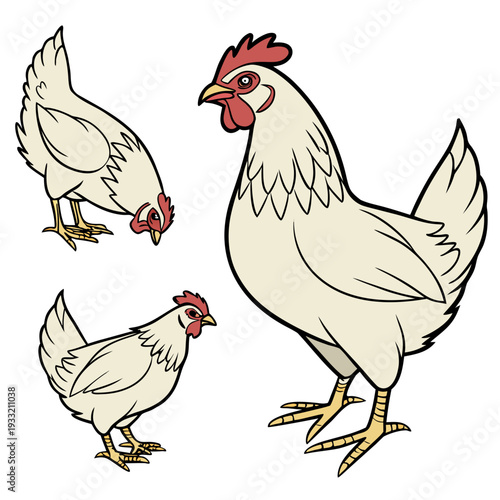 White chickens isolated poultry cartoon chickens red combs