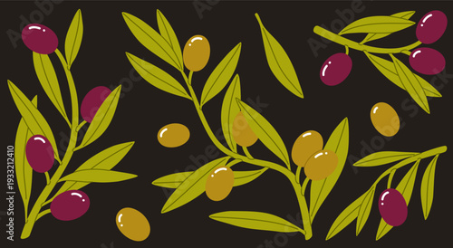 A set of green and black olives on a dark background. Olive tree branches with leaves and ripe fruits.