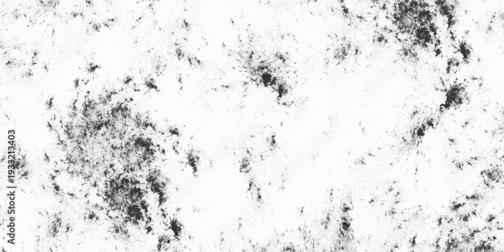 Obraz premium abstract grunge texture. Black white grunge pattern. Dust texture background