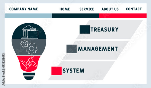 TMS - Treasury Management System мacronym. business concept background. vector illustration concept with keywords and icons. lettering illustration with icons for web banner, flyer, landing