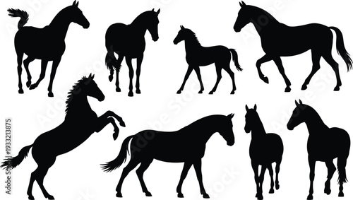 Collection of horse silhouettes in various poses isolated on white background, equine animal vector illustration set for design