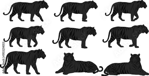 Set of Black Silhouette Tigers in Various Poses on White Background animal wild