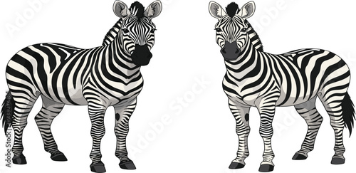 Realistic Zebra Pair Standing Isolated on Light Background African Wildlife Animal Black and White Striped Mammal Vector Illustration