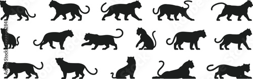 Collection of panther and big cat silhouettes in various poses isolated on white background, wild feline animal vector illustration set