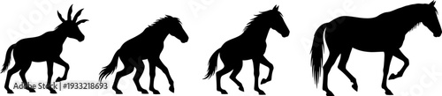 Silhouette of four animals walking in a line